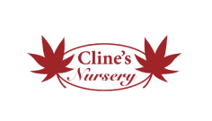 Cline's Nursery | Shelby NC