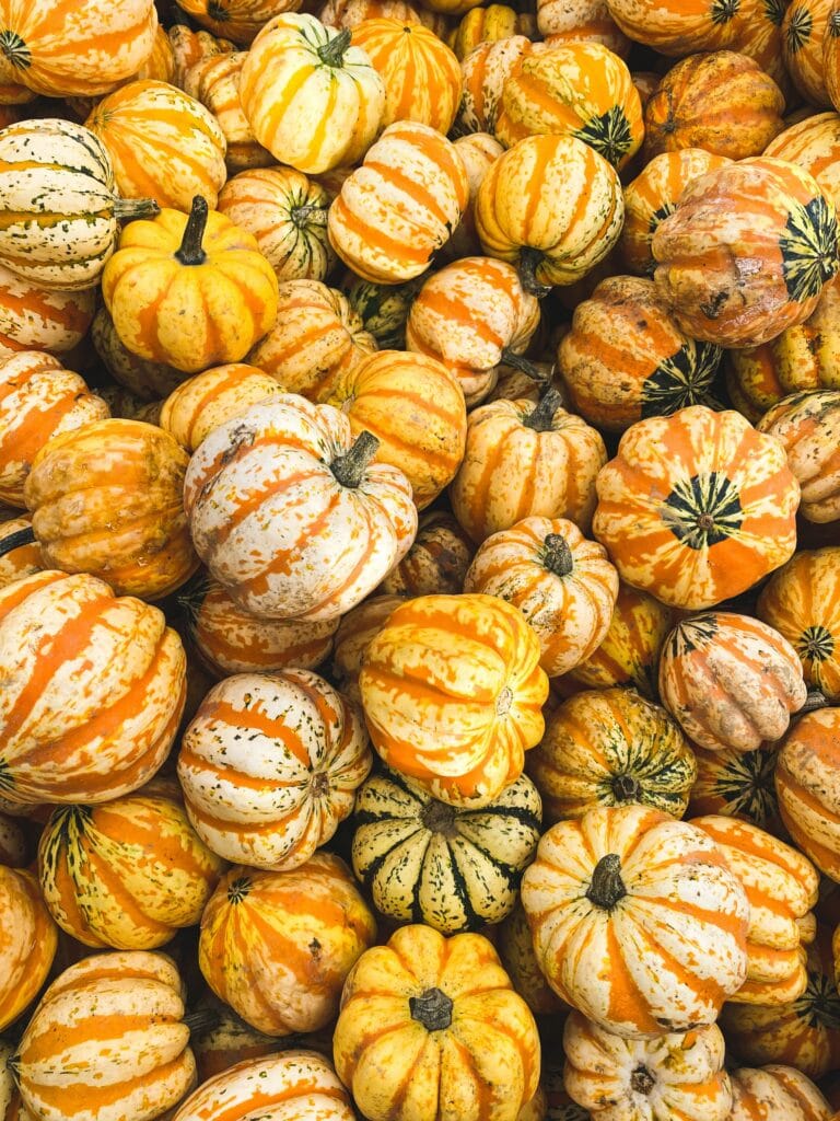 striped pumpkins