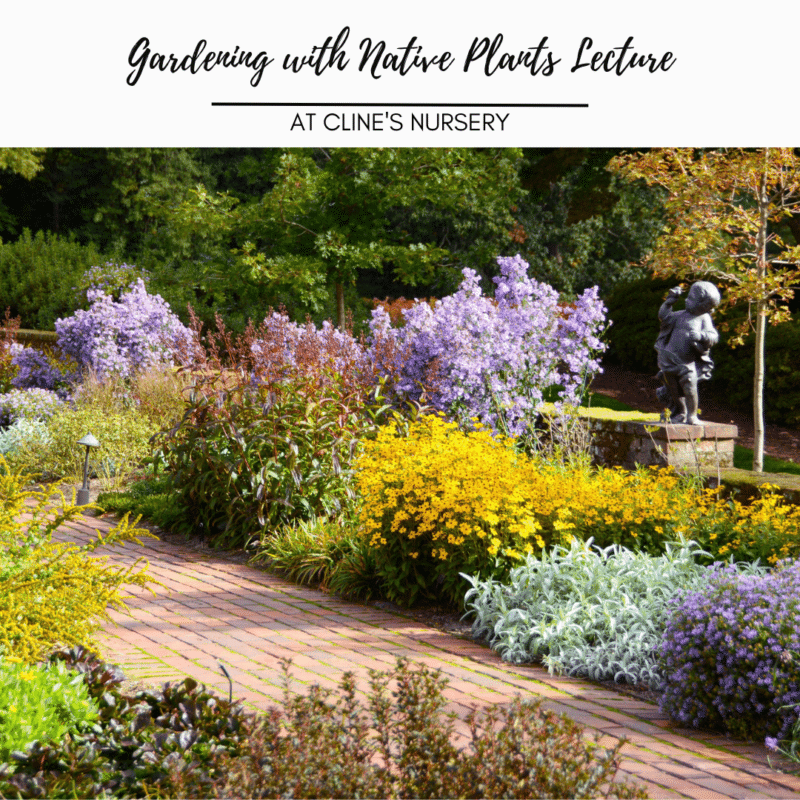 Events at Cline's Nursery Shelby NC Cleveland County