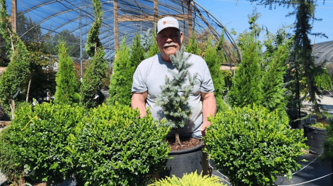 Cline's Nursery staff at the nursery