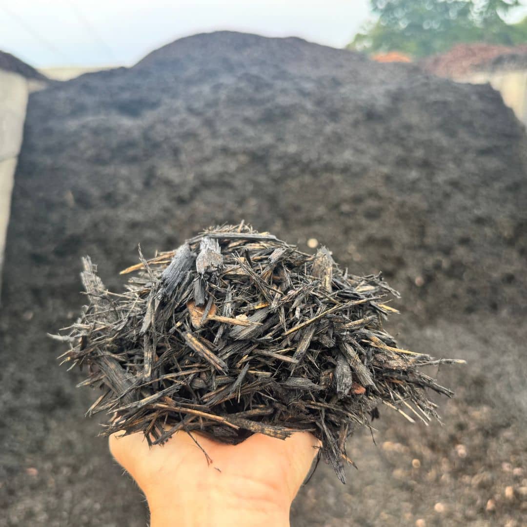 Black Mulch
