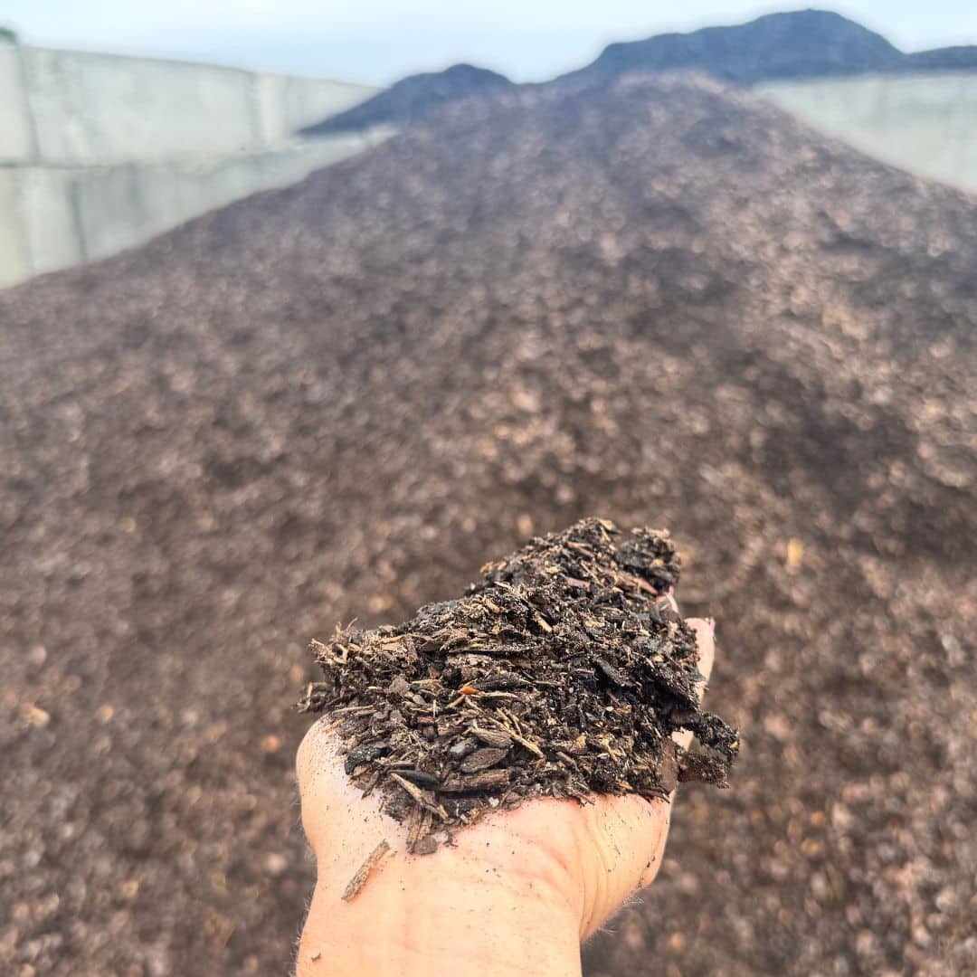 CLINES SPECIAL SOIL MIX
