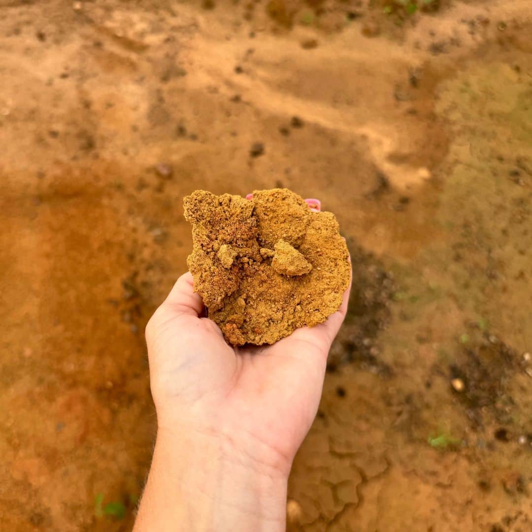 FILL DIRT