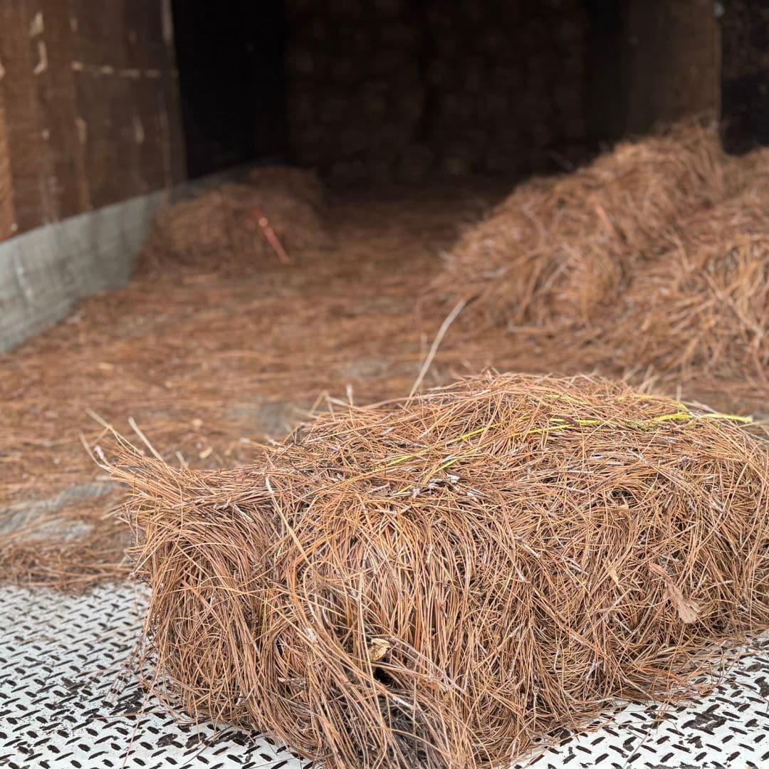 Pine Straw Long Needle Bale SHELBY NC