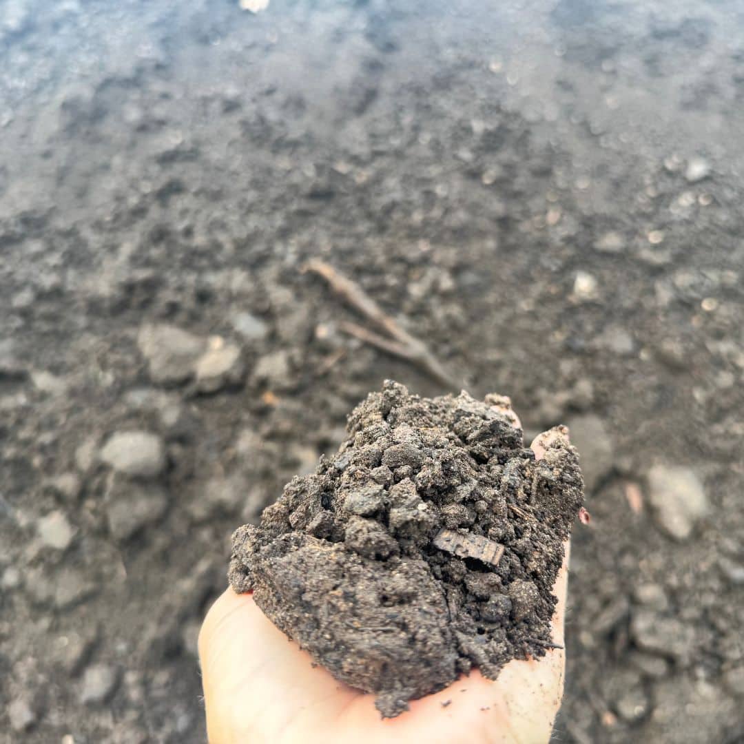 Top Soil