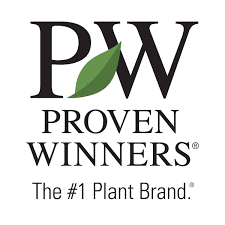 PROVEN WINNERS shelby nc