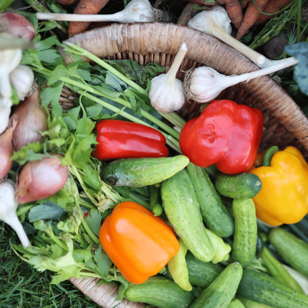 kitchen garden kitchen garden