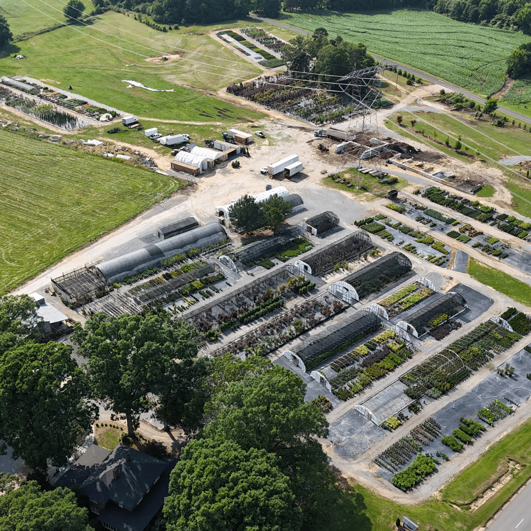 wholesale nursery shelby nc wholesale nursery shelby nc