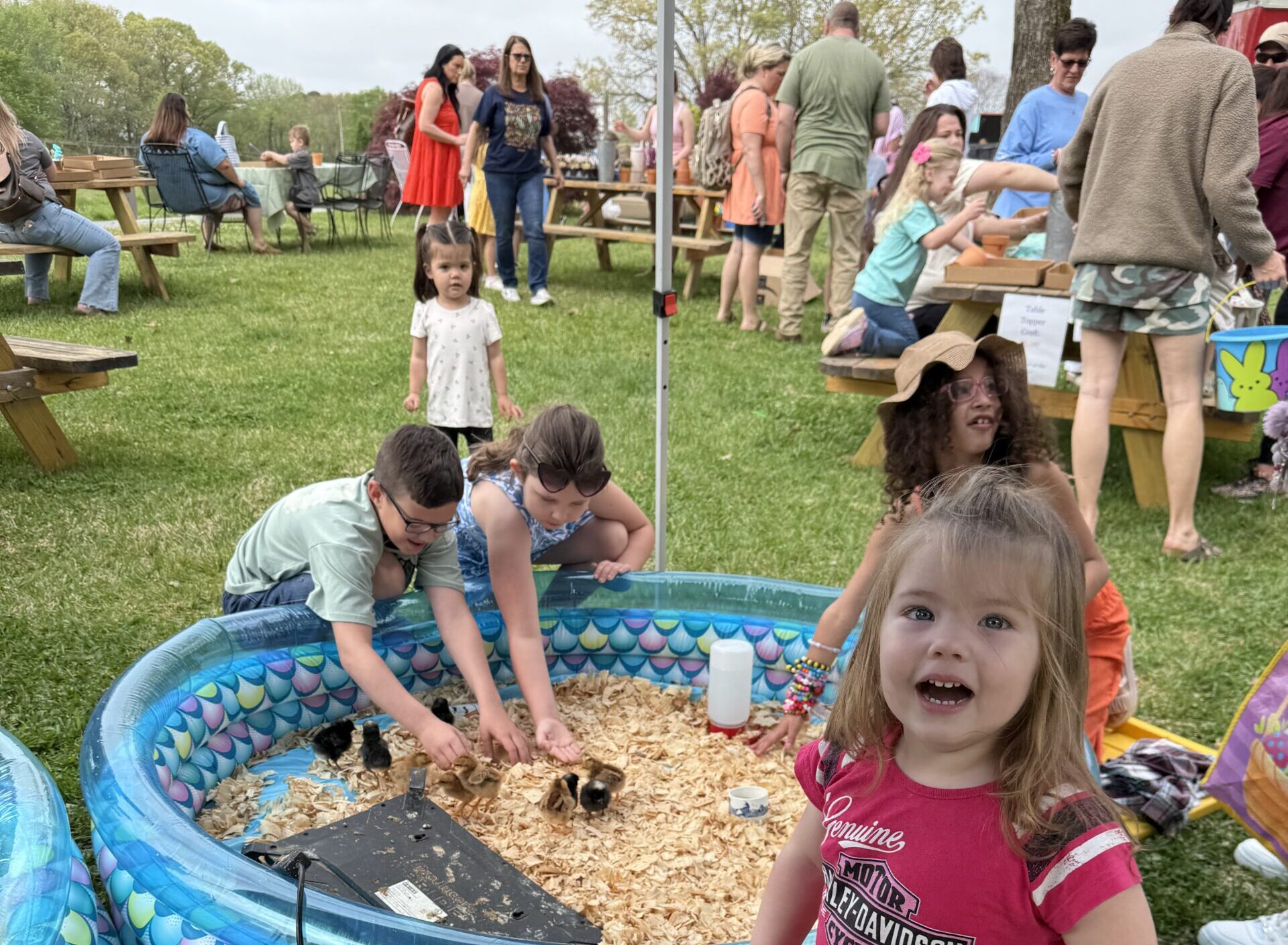 Cline's Nursery event
