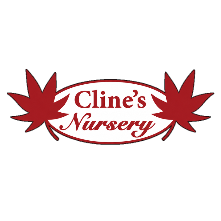 Cline’s Nursery | Shelby NC Logo