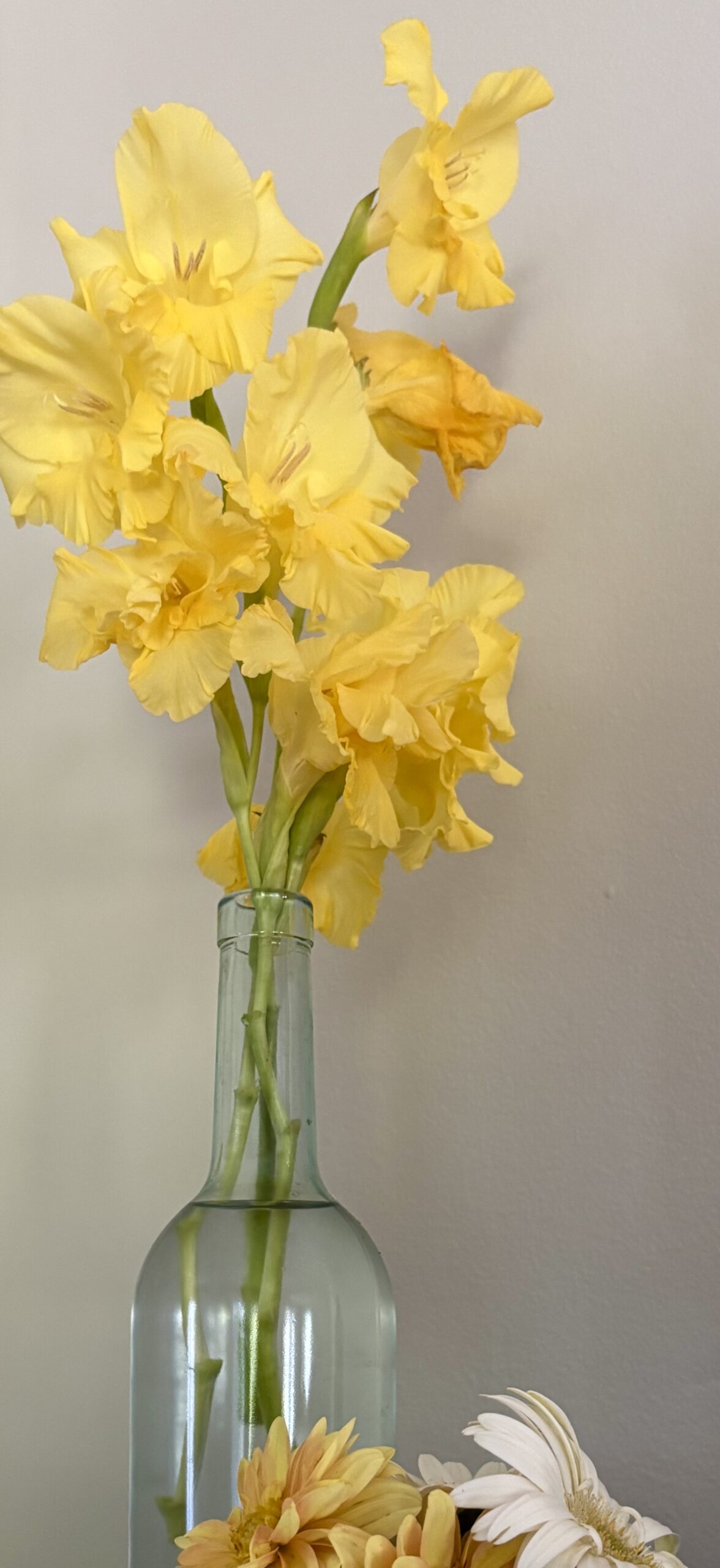 Bulbs & Tupers nursery photo 1