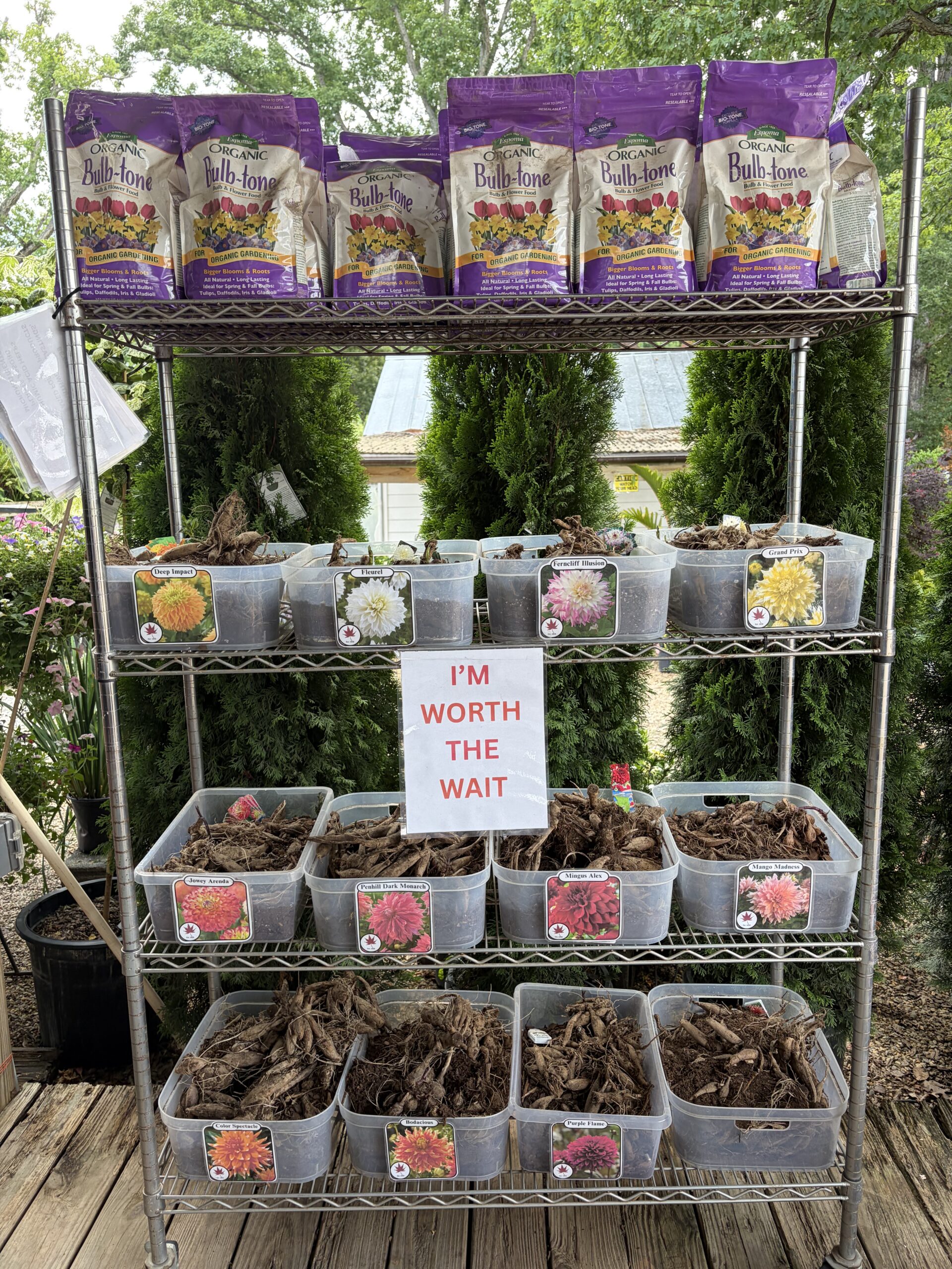 Bulbs & Tupers nursery photo 2