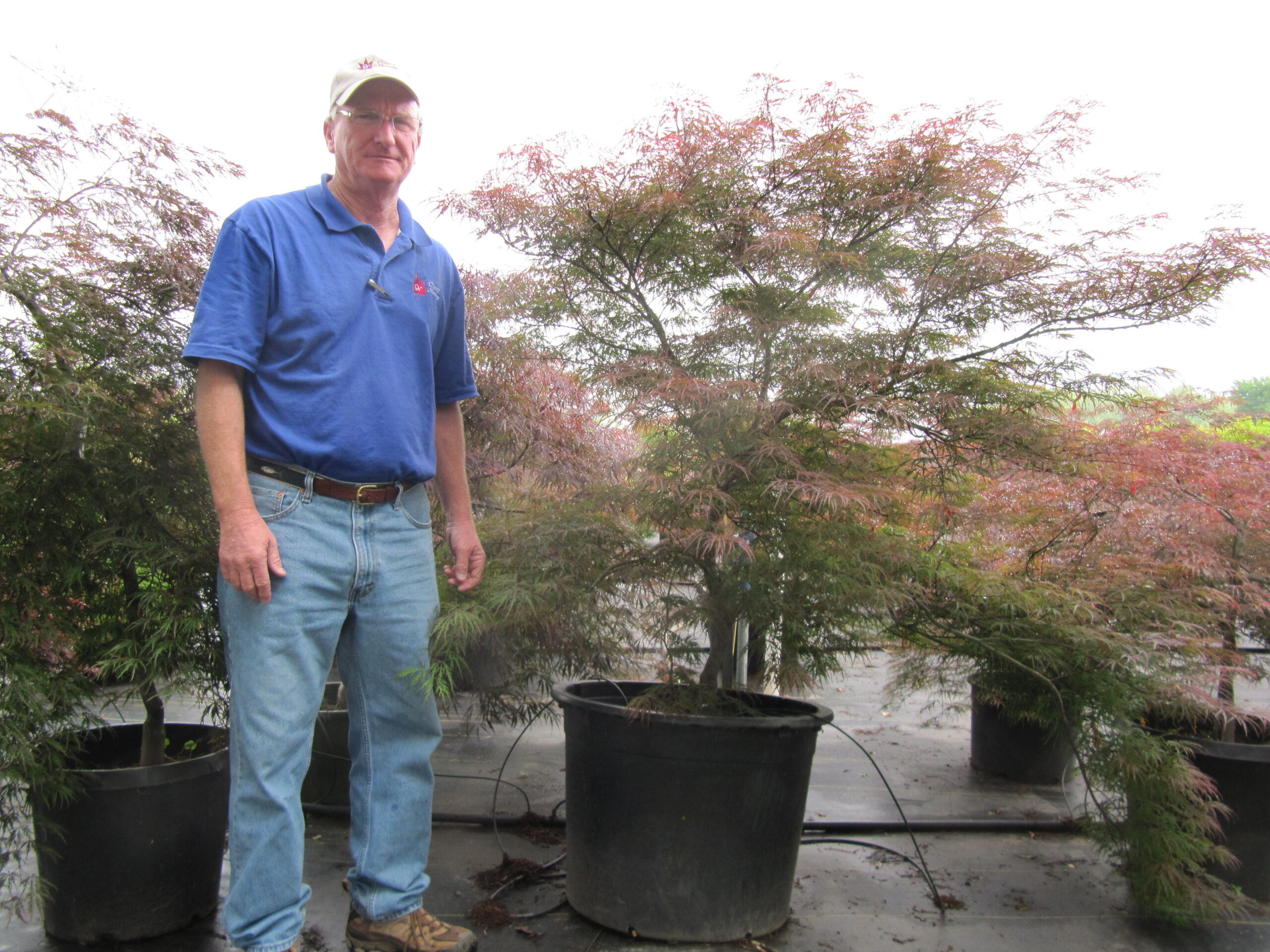 Cline's Nursery staff at the nursery